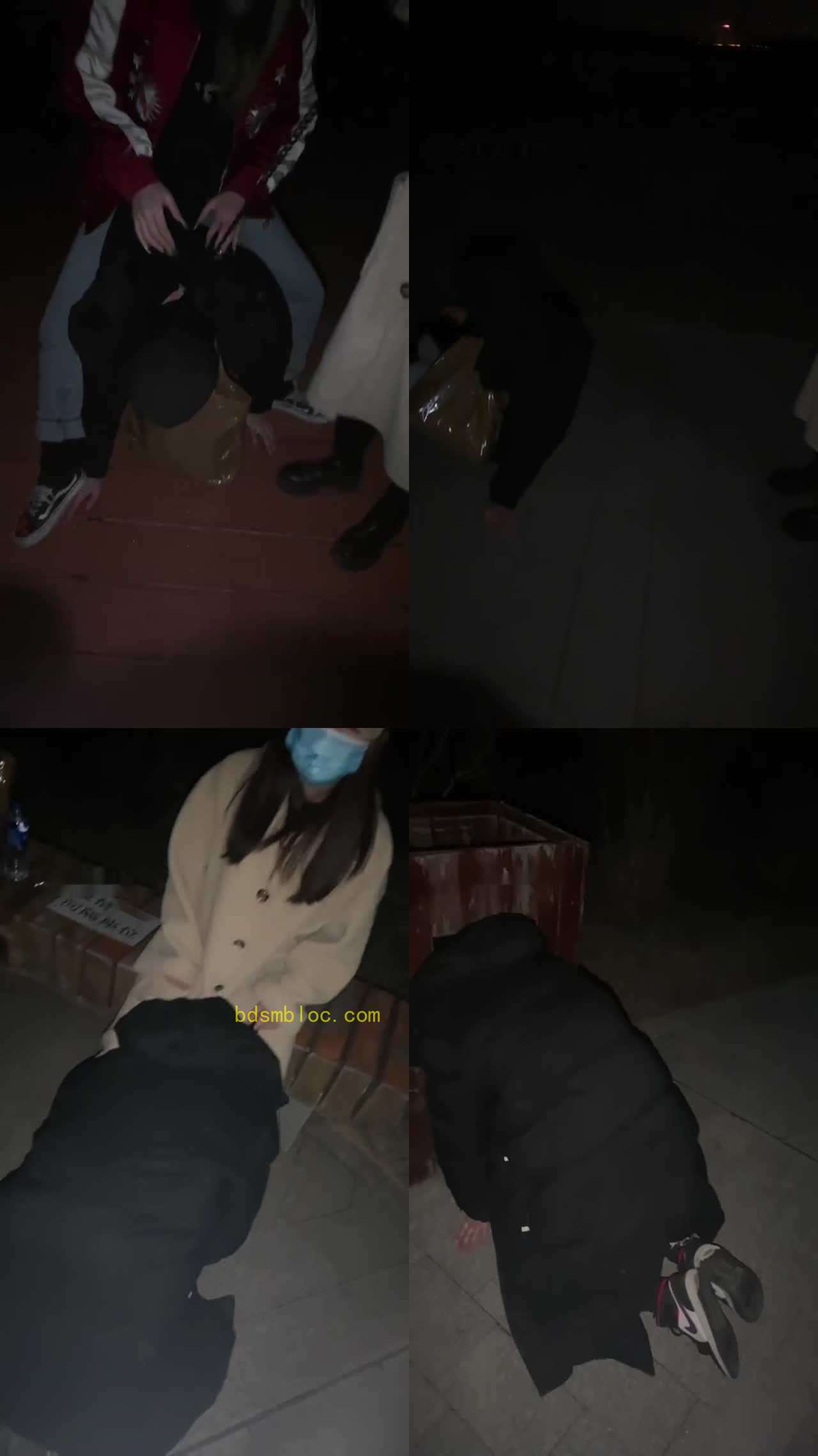 【樱木花椒】和闺蜜深夜户外溜家奴