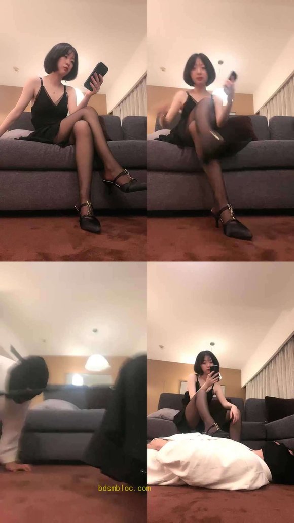 【十七宫】高龄狗受辱纪实