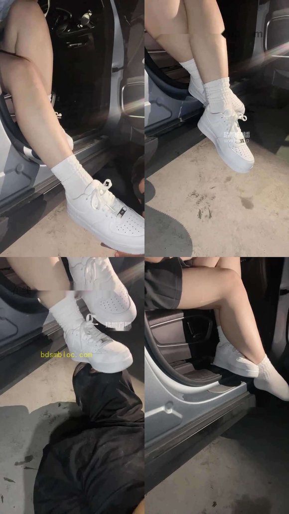 【李园长s】户外训狗，不爽翻不散场