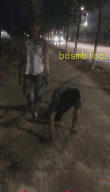 【00后冰冰女王】养户外_马路遛狗遥贱逼_上部_