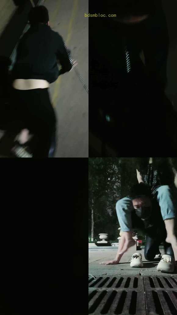 【珍惜女王】楼下遛狗