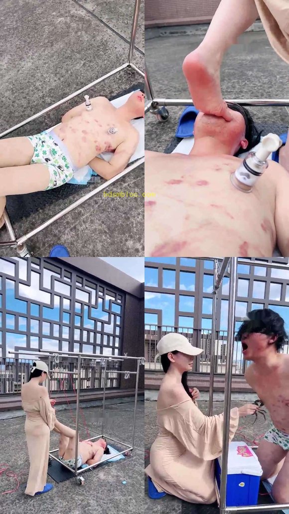 【黛樱】户外玩狗