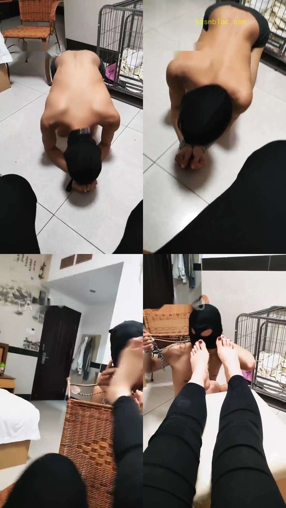 【超高能S】圈养奴一天的生活