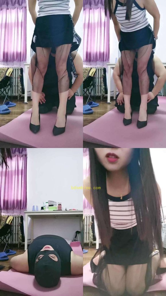【白兰地S】小奶狗清理黄金菊花