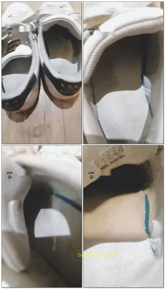 【萌女王s】WX视频网调狗狗磕头