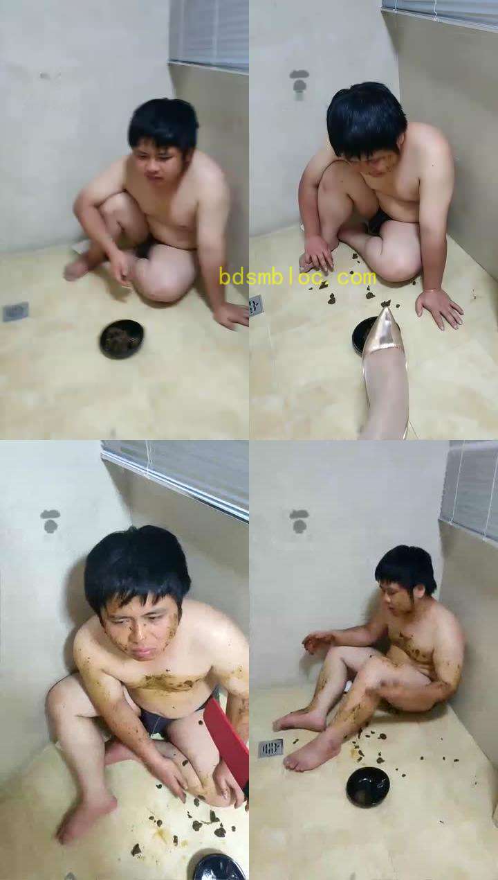 【广州佩偲女王】狗狗吃饭了