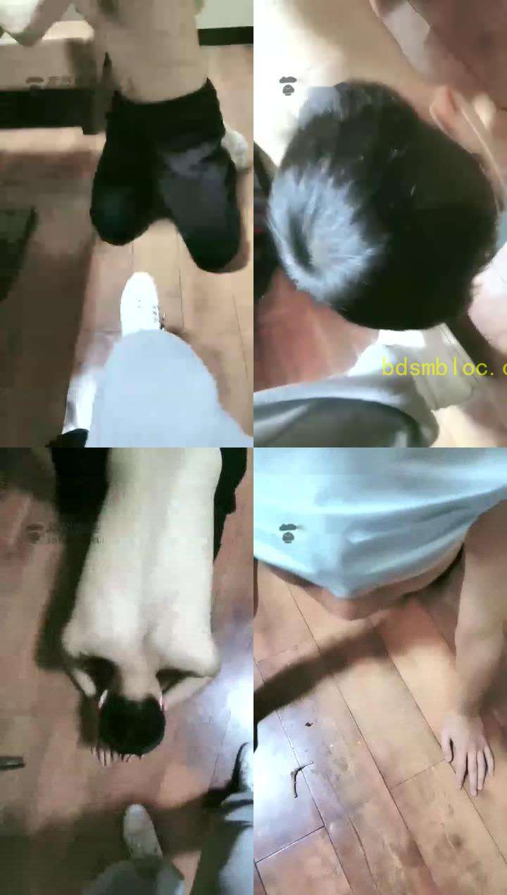 【故梦琉璃S】想吃黄金的狗，白鞋棉袜，钻胯，圣水