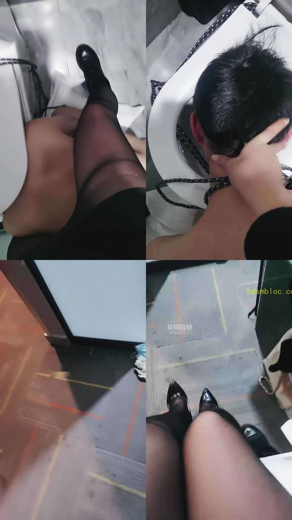 【北京妲己女主】厕纸北京现