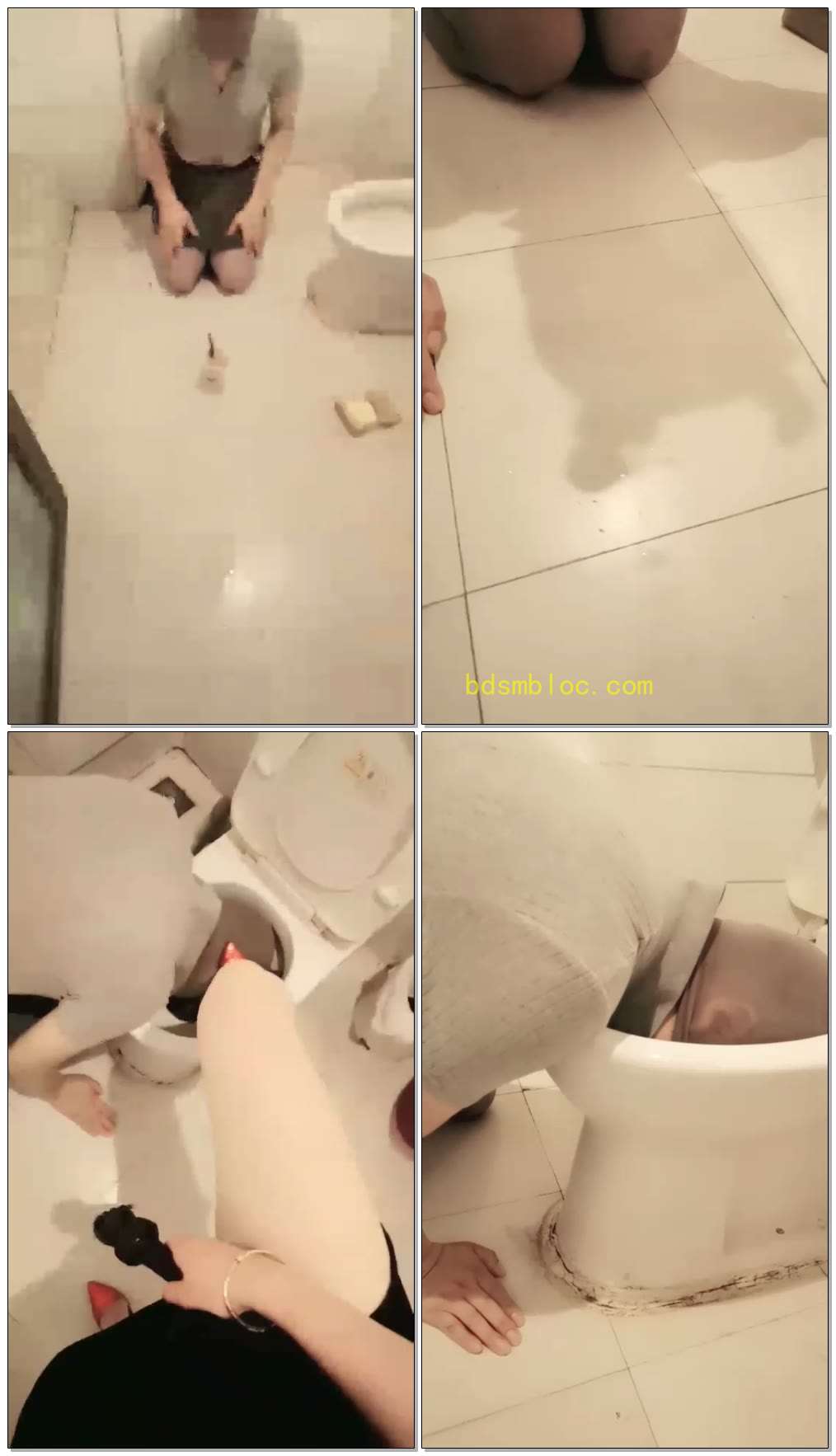 【丽妃S】调教厕奴，舔马桶