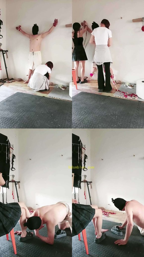 【水水S】调教捆绑狗