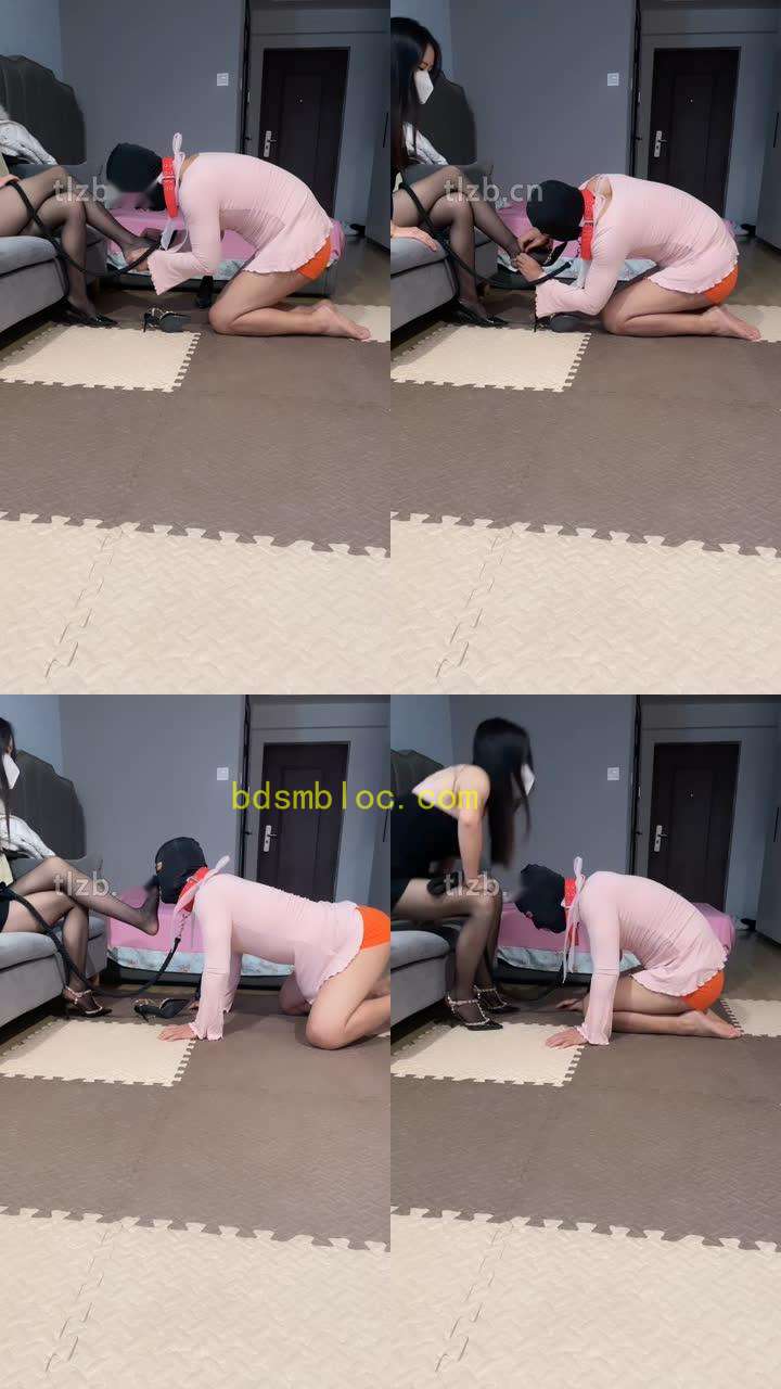 【薇娅】圈养生活犬化训练【上中合集】