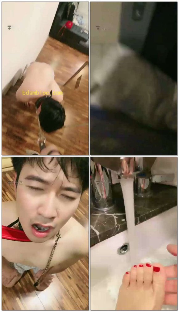 【贵阳冷御大大】第一视角调狗