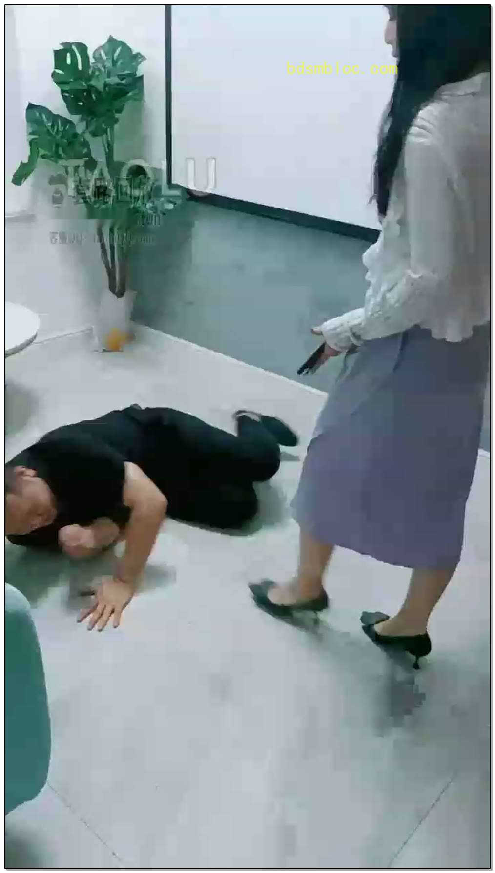 【若琳琳】家奴居然敢顶嘴