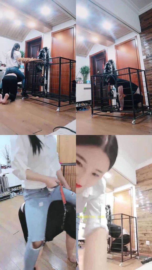【梦晨】狗笼圈养虐待生活【双视角版】