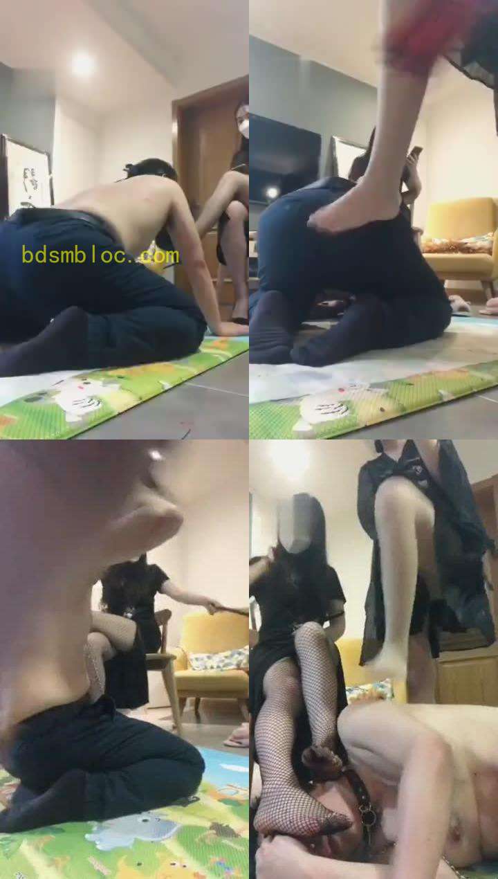 【维因】双S花式虐狗 下