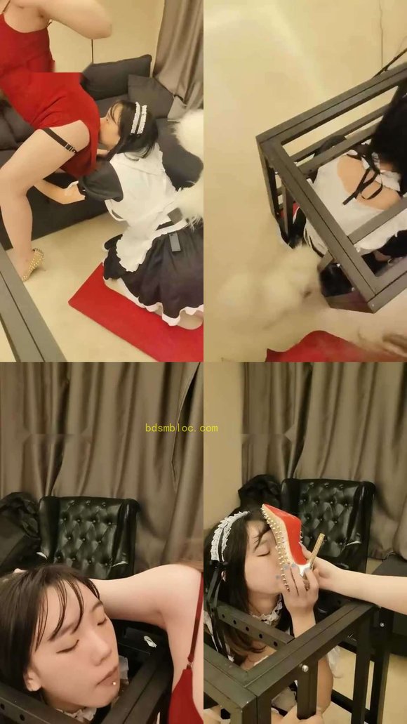 【双子姬】小骚母狗被关狗笼里虐