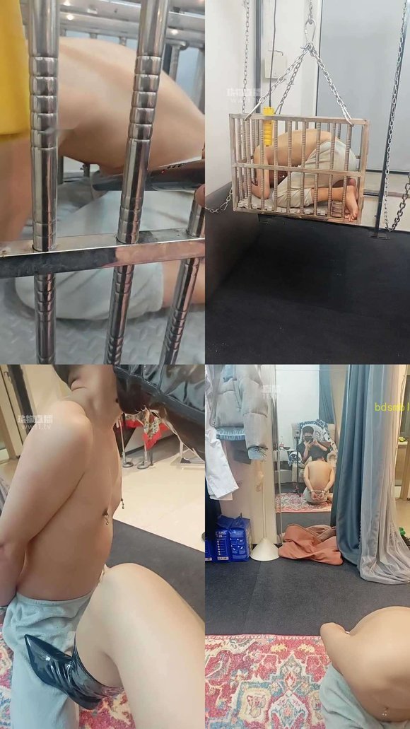 【修罗】惩罚吊笼电击捅咪咪