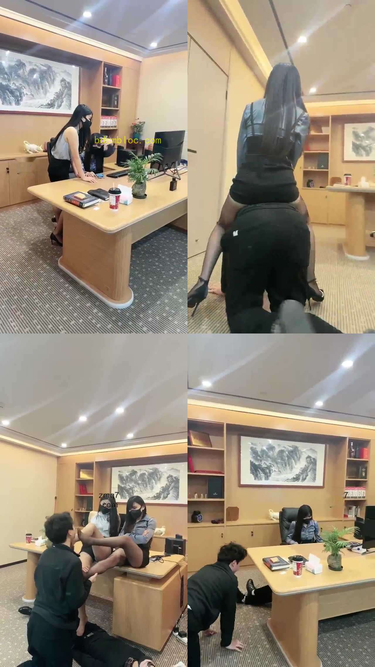 【伊晨】双女主 办公室里的调教