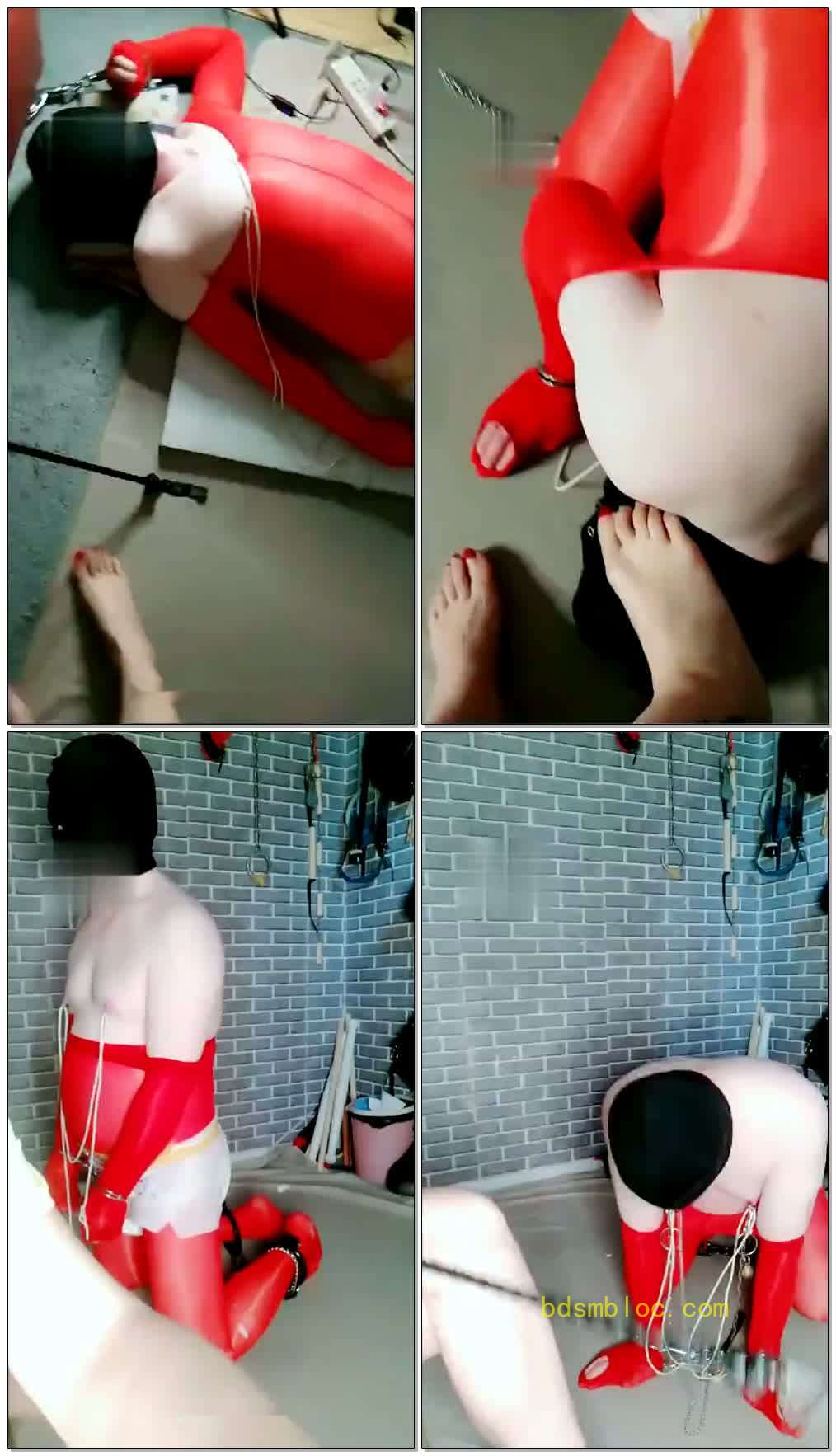 【东营天香百合】倒吊，鼻勾控制，乳环