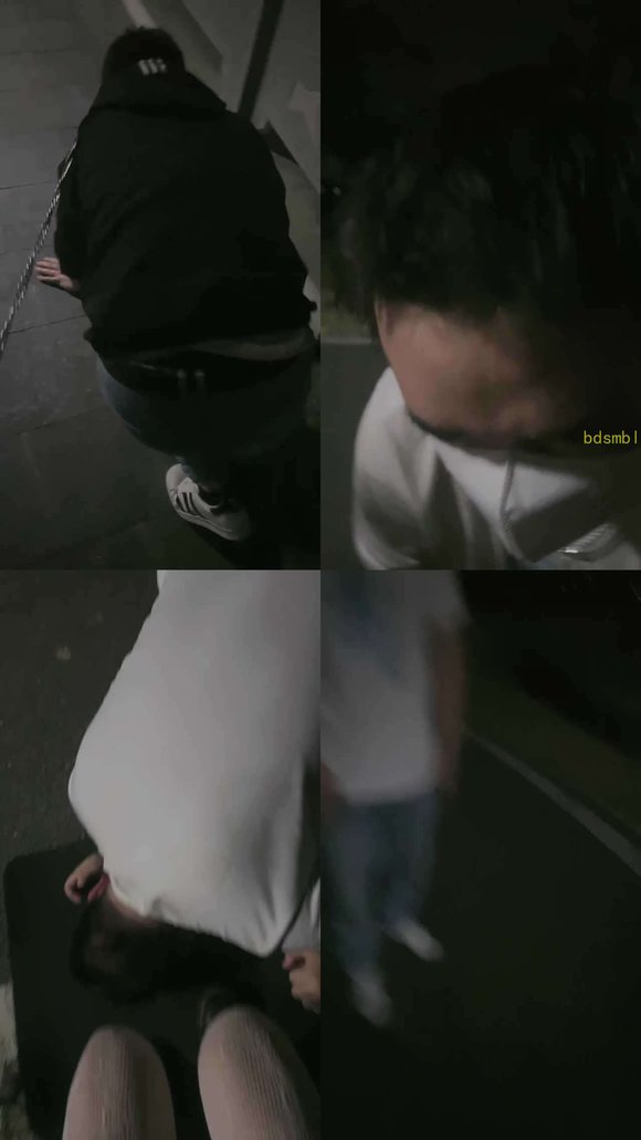 【子衿大大】耳光马丁靴户外调狗