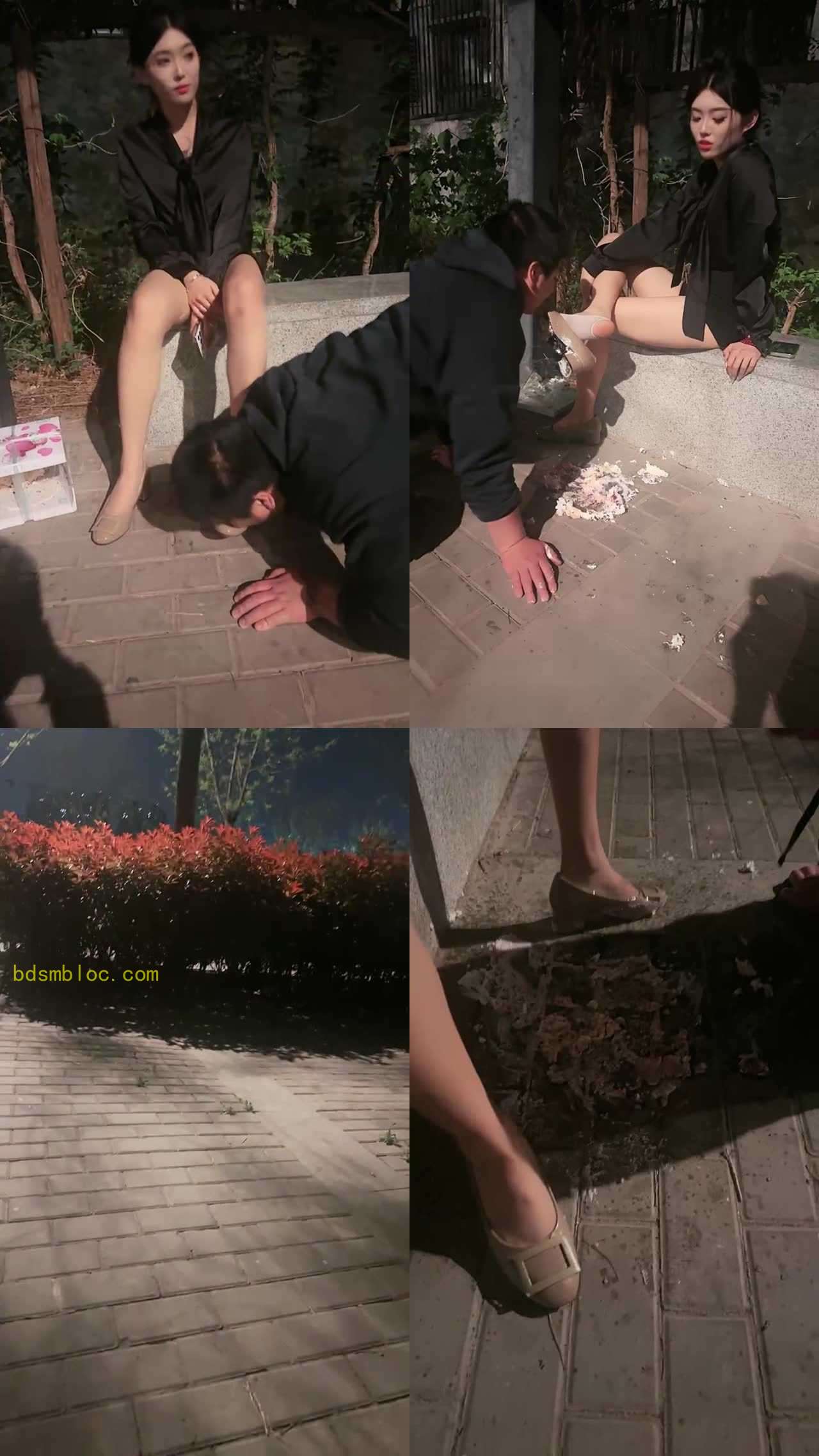 【esse殿下】户外调贱狗