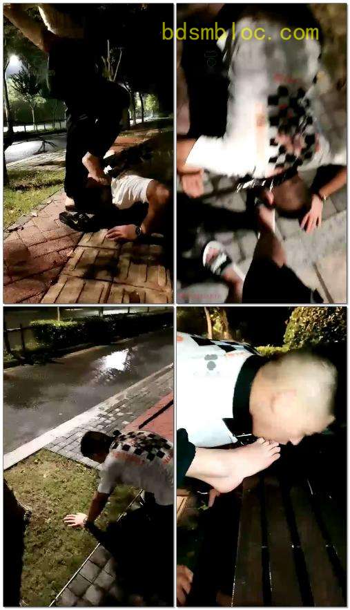 【菜小心S】雨夜遛狗