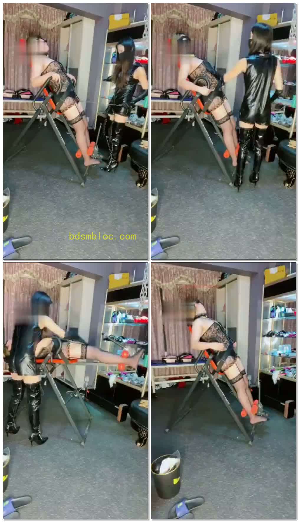 【女王盟主】惩罚小三母狗蓝狐