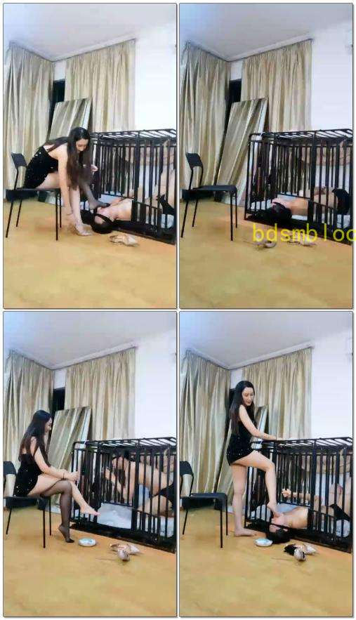 【微希】]出轨渣狗被女王关进狗笼卑贱无比