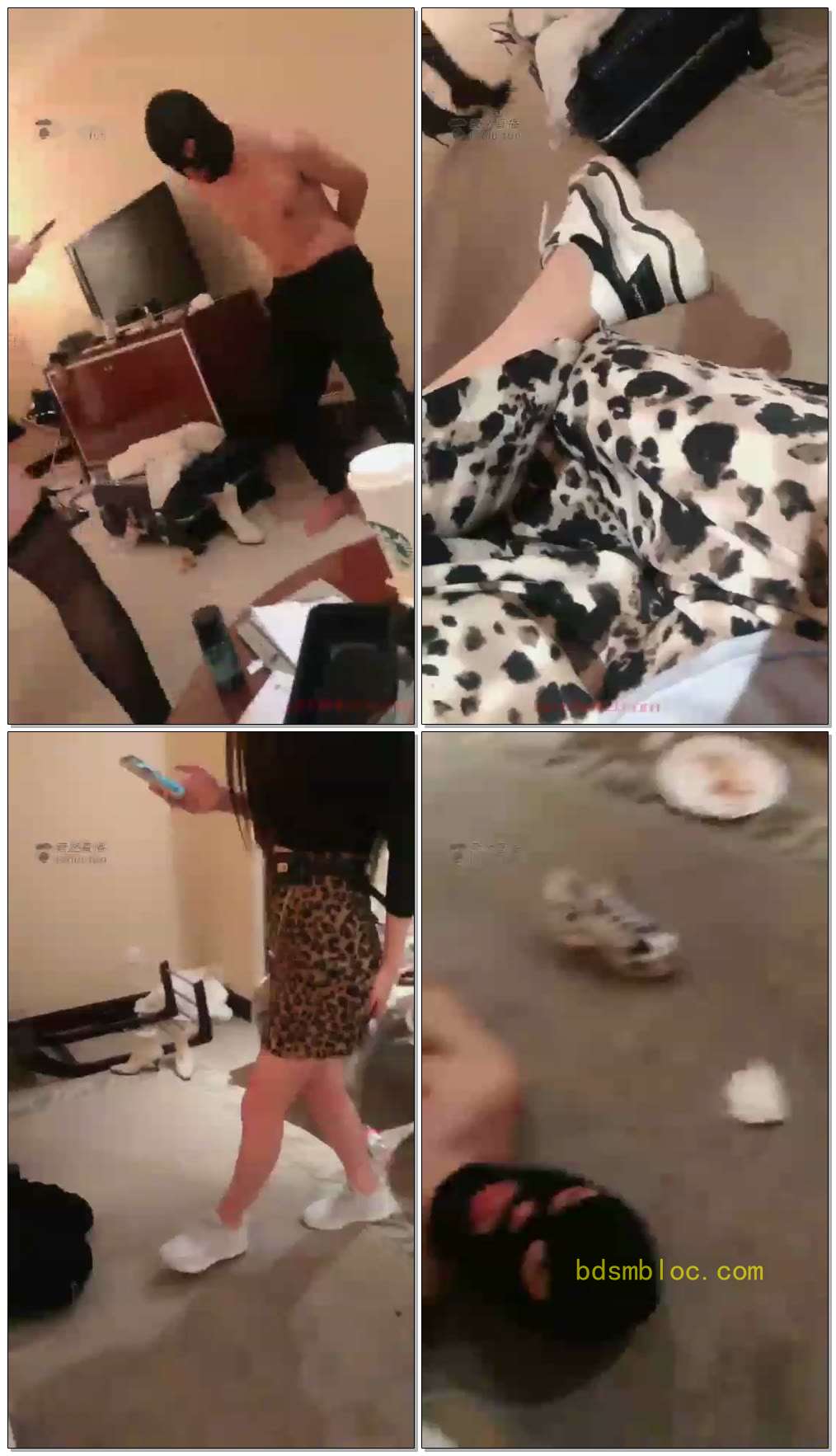 【惠子大小姐】双主踢裆虐狗