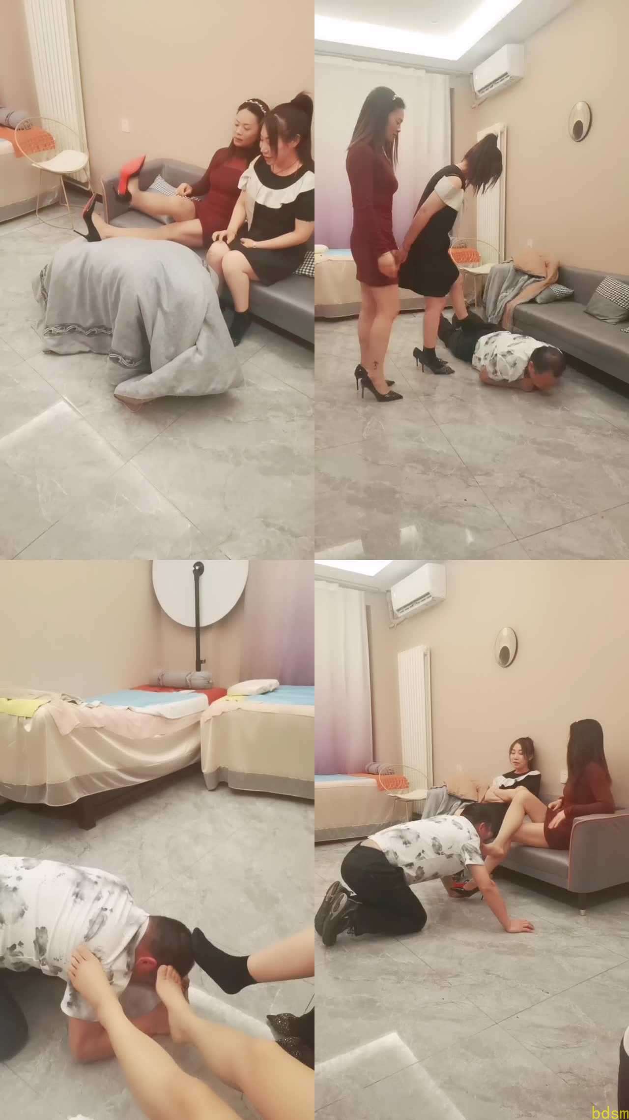 【带刺的玫瑰】新到的狗登家具