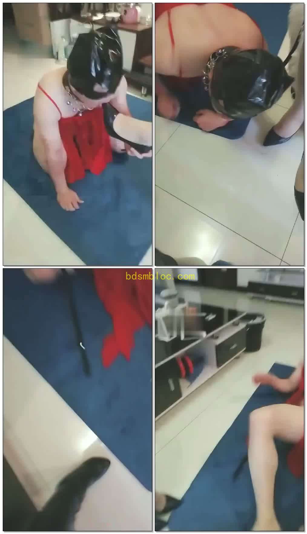 【芯瑶S】姐妹tj下贱的CD狗