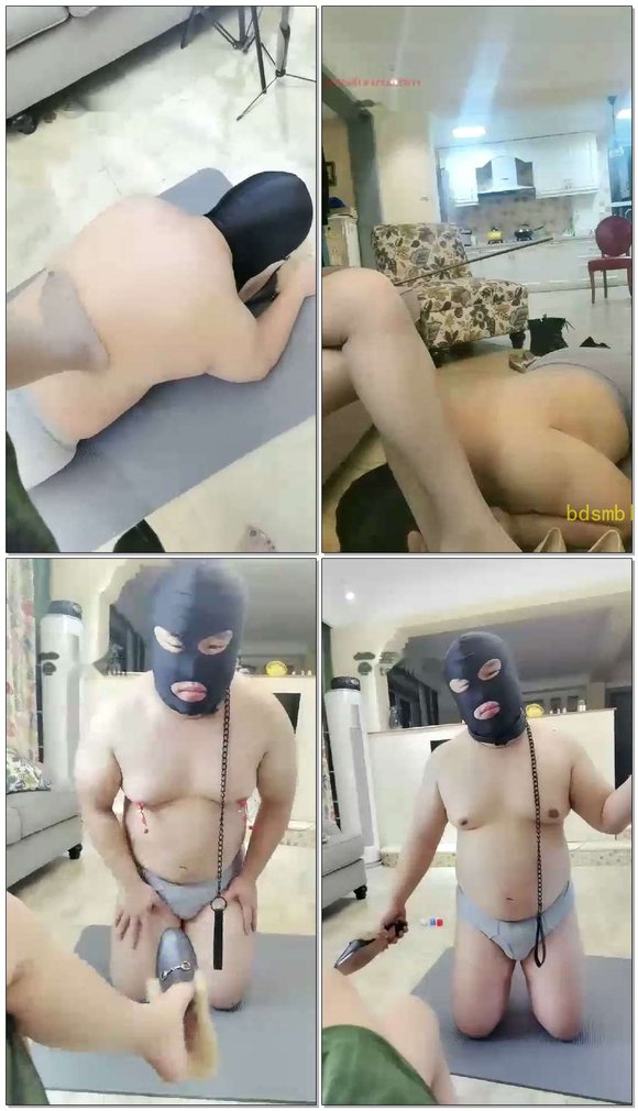 【小律S】小仙女灰丝玩狗，互动调教