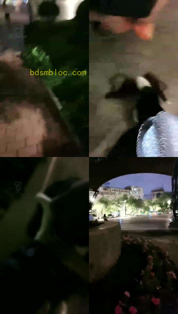 【楚琪S】户外调狗