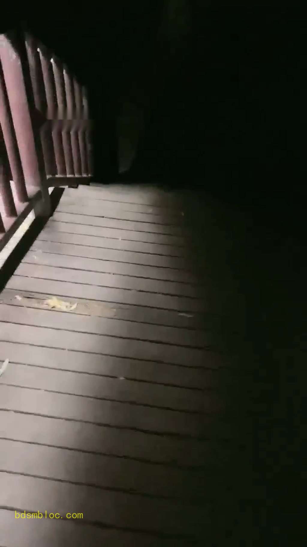 【辣妈】室外调教路人受到刺激