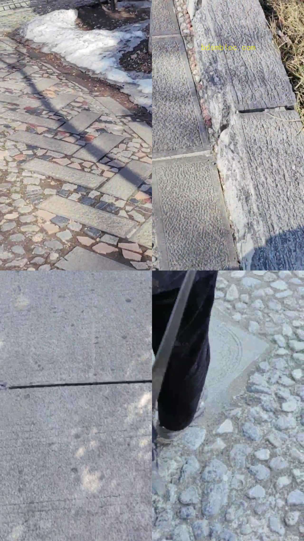【丝丝清欢】户外牵狗链