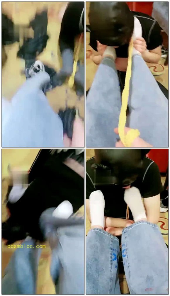 【小狐狸Queen】哲叡的见面礼