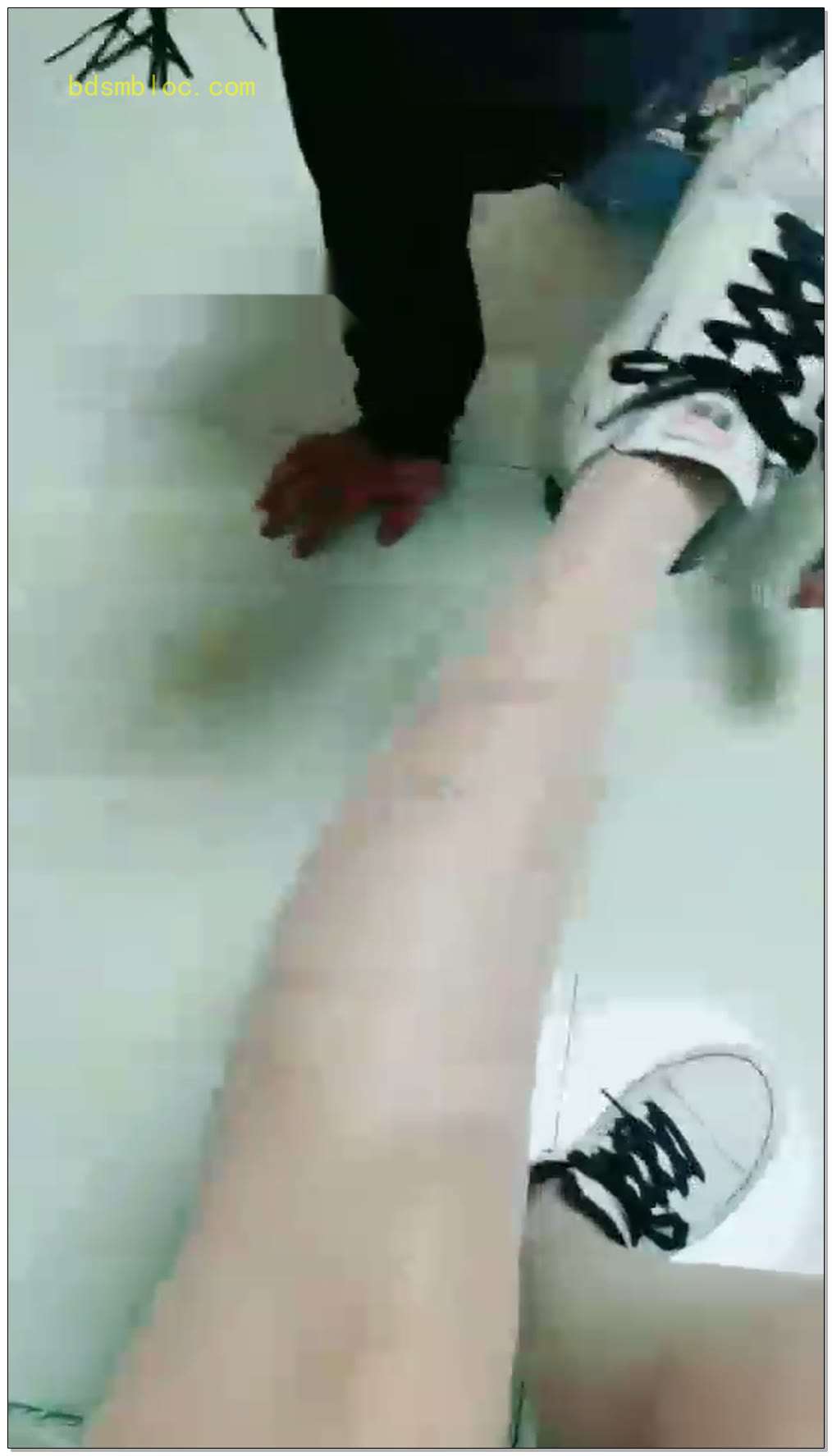 【梦蝶女王大人】踢打坐垫