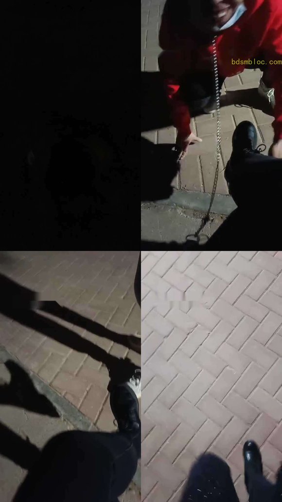 【平凡】户外遛狗当众羞辱