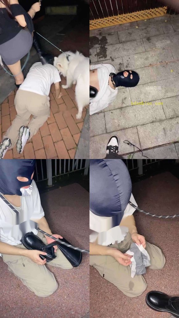【蓓蓓s】公园遛狗
