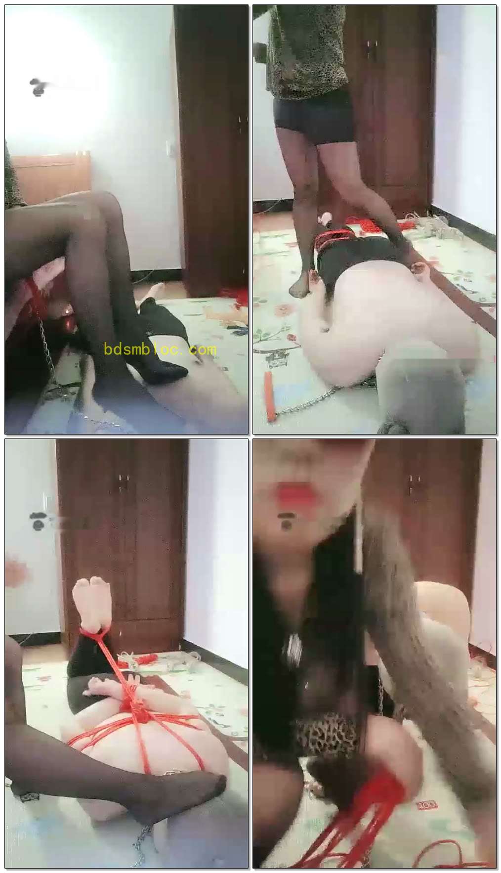 【红丽S】黑丝调狗，捆绑