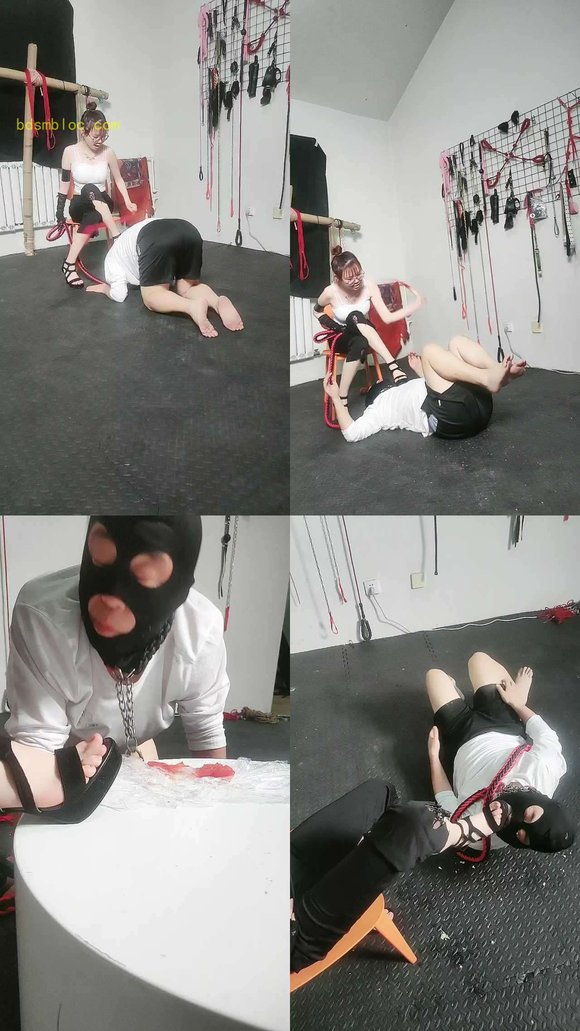 【盛梦空间s】佳主西红柿炸汁老强制