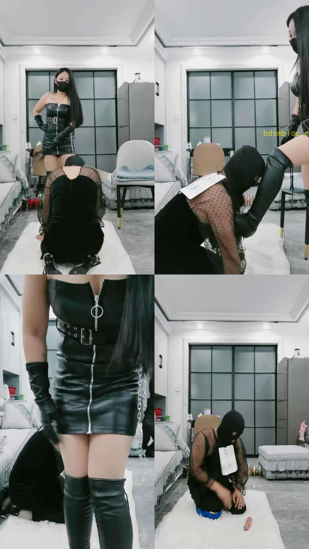 【嘉小妈】玩CD狗