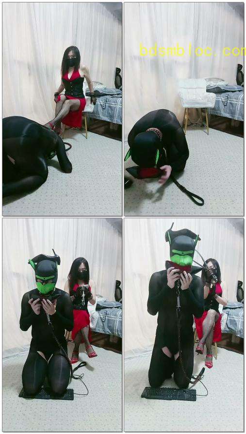 【南京冰炫女司】无脑羞辱苟奴
