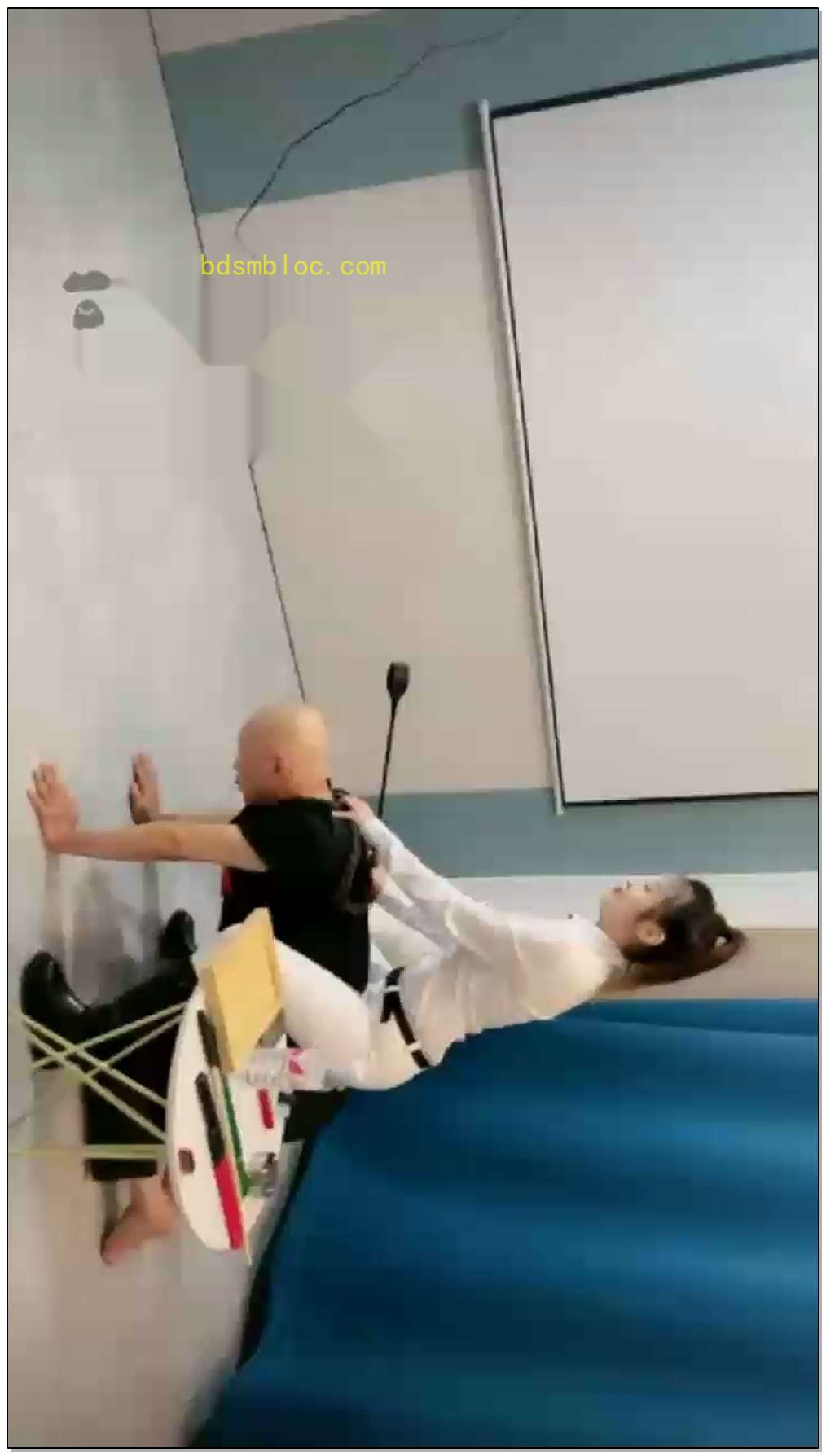 【妍主大大】驯马专场马术练习