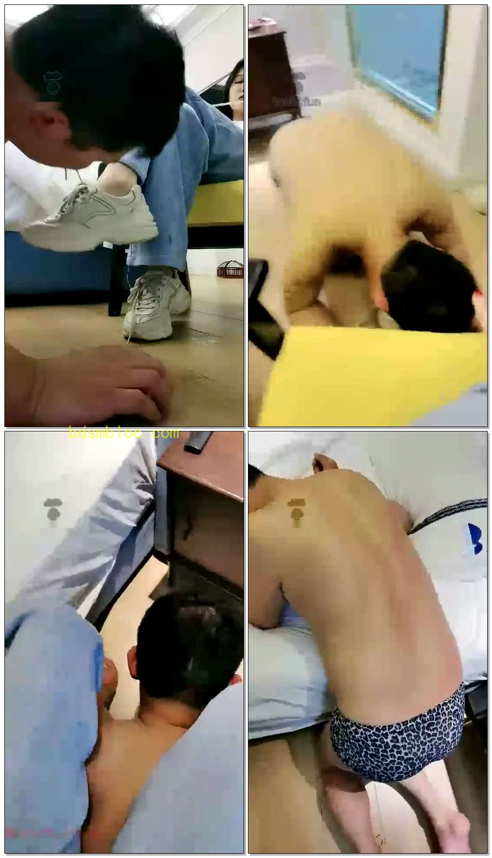 【沐夏大大】随意虐狗调理心情