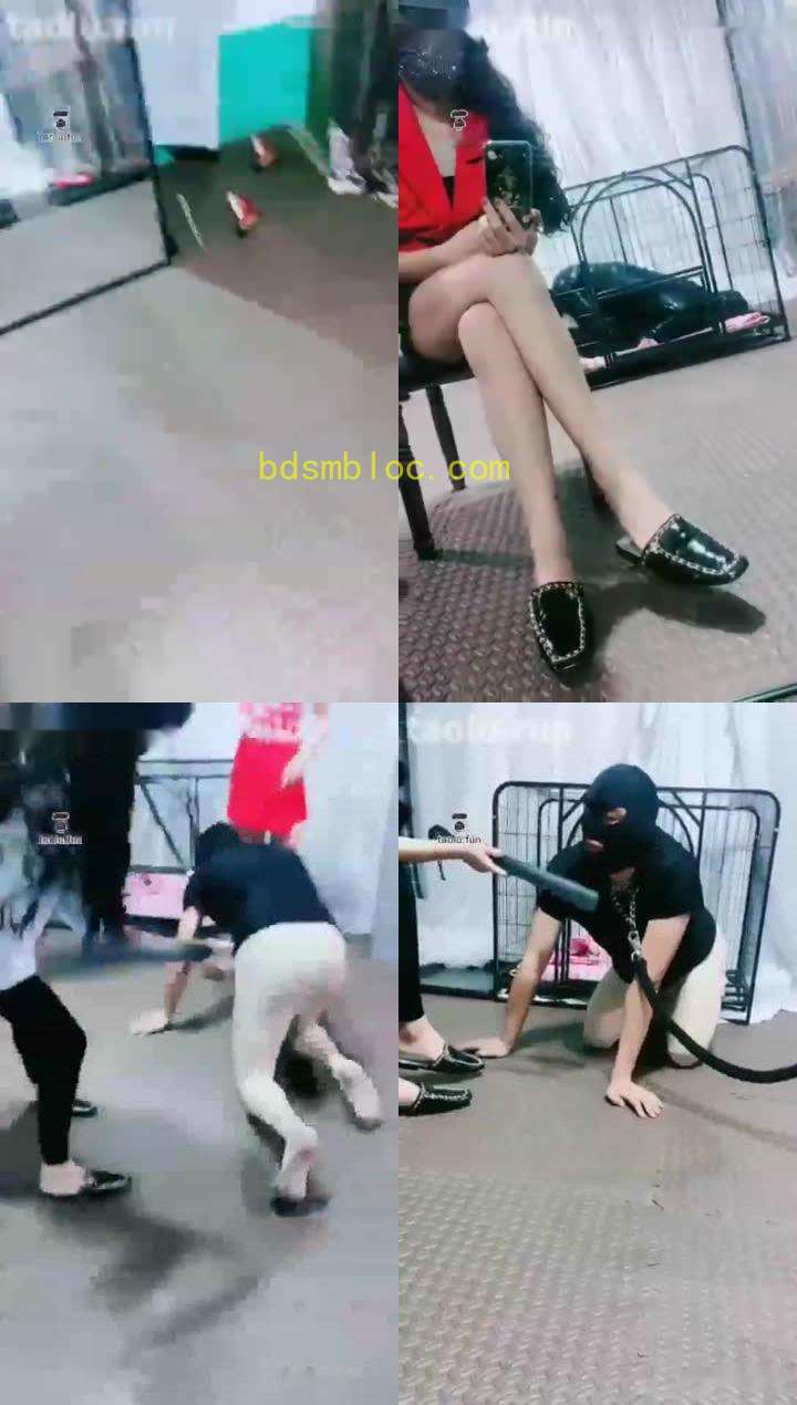 【茹一S】调教狗笼贱狗