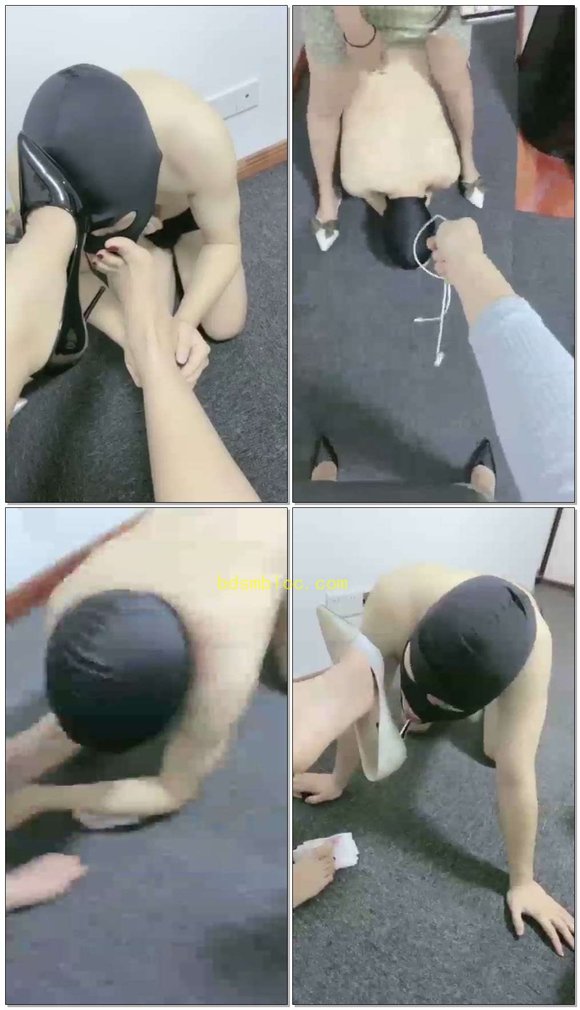 【忆恩】三女王调狗