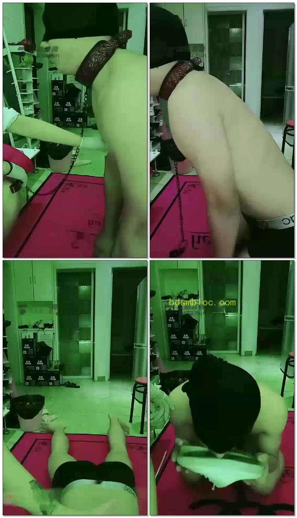 【暴萝莉S】玩个新小白