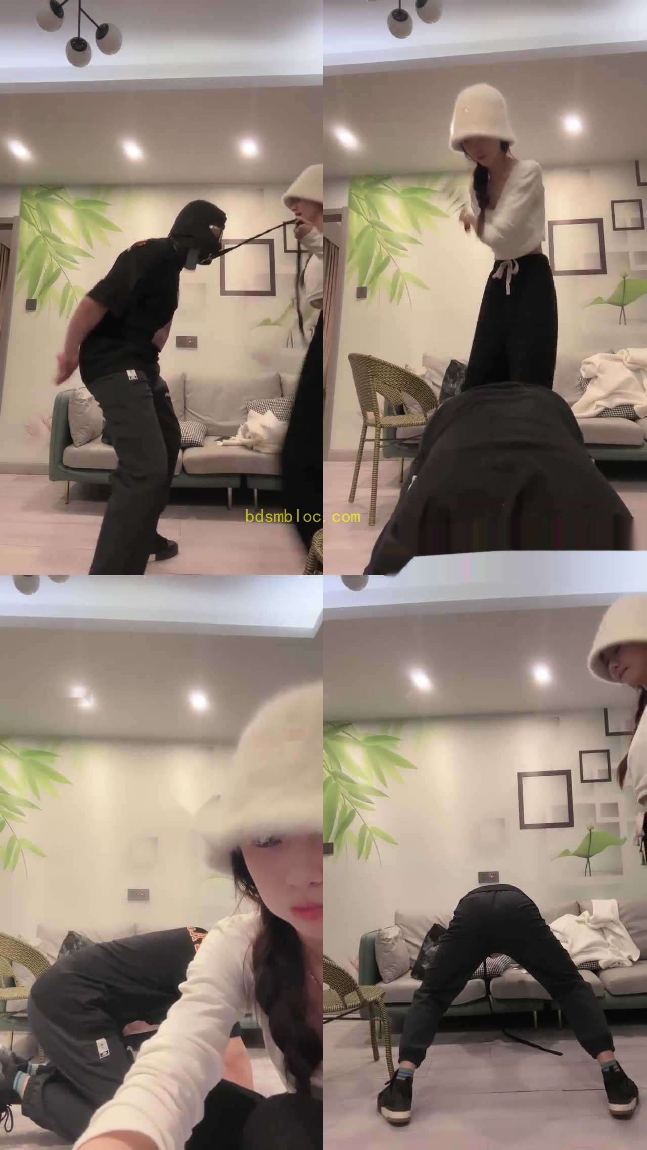 【凉子】把小宠爆蛋