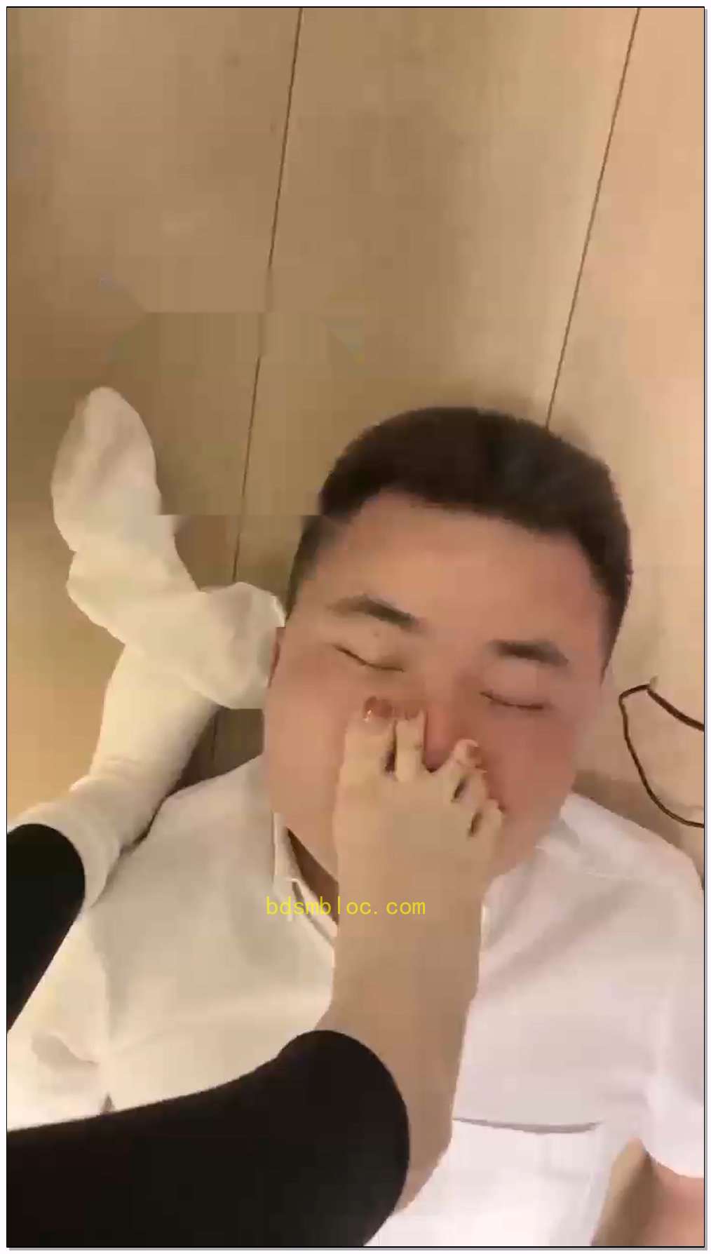 【奶味茶茶】运动鞋棉袜调狗